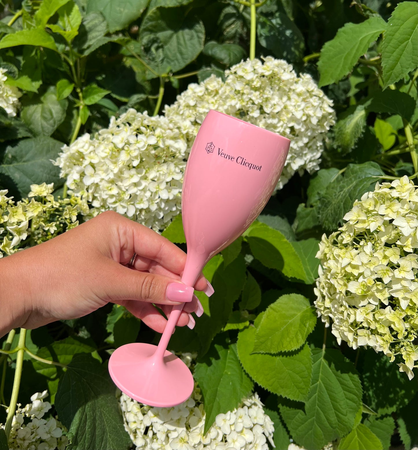 Veuve Flutes